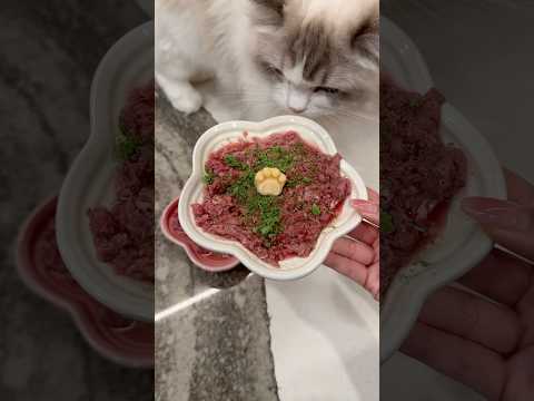feeding my cats: raw goat edition 🐐