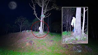 TERROR EXTREMO APÓS HOMEM ENFORCADO APARECER NA FLORESTA!