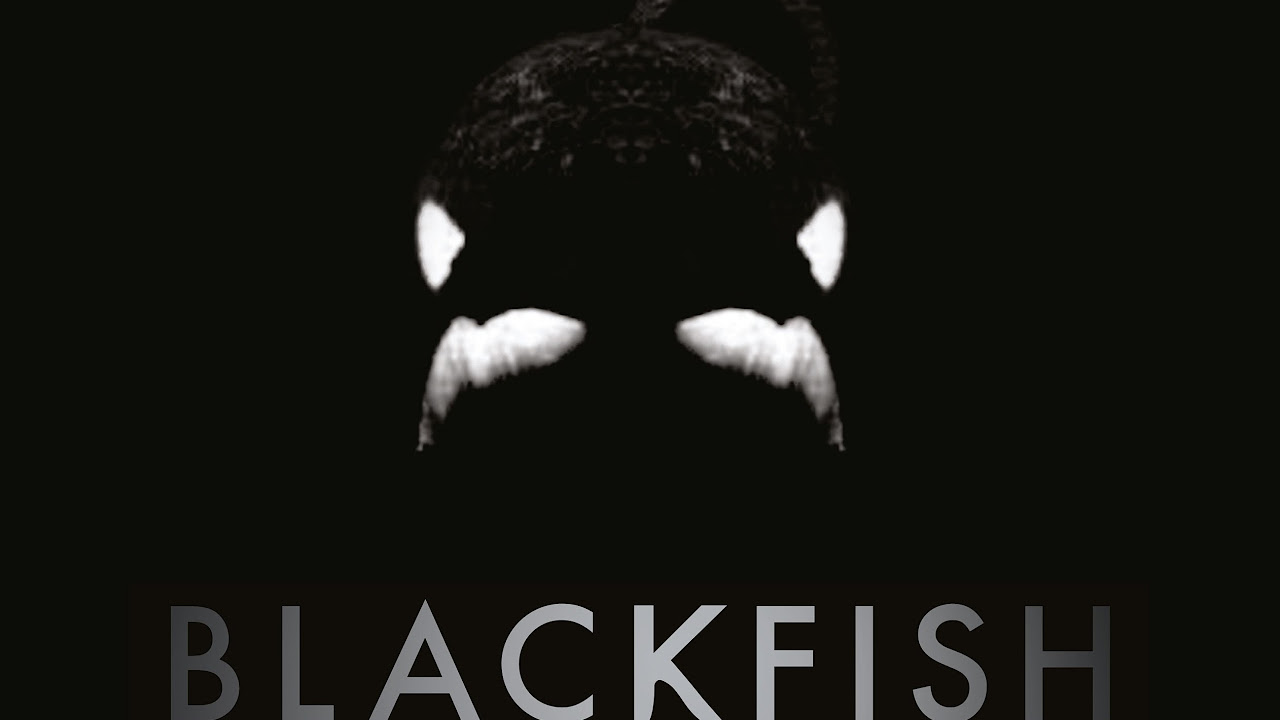 Blackfish Trailerin pikkukuva
