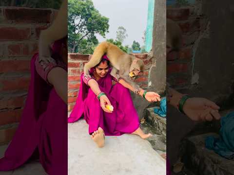 Itni kirpa sanware banaye rakhna #shree_krishna_ringtone #monkeyvideosforkids #monkey