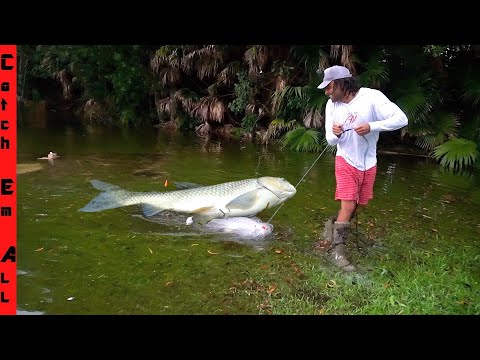 FINDING FISH SWIMMING into the WOODS during FLASH FLOOD!