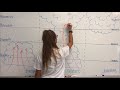 Thunderstorm Life Cycle Concepts