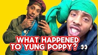 THE DOWNFALL OF YUNG POPPY (from vine to JAIL)