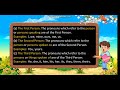 Understanding Pronouns and Their Functions