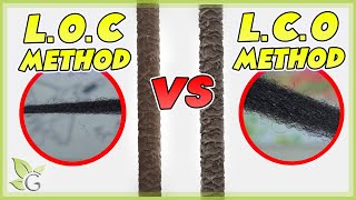 Hair Porosity 101 And Easy Porosity Test Lco Loc Method Videos