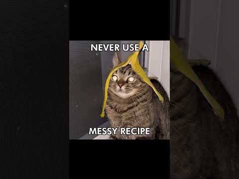 COOKING BY THE BOOK #catcore #cat #mycore #cutecat  #cute #catlover