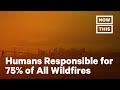 Understanding Wildfires and Prevention