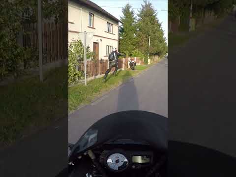 GsxR 1000 gleba