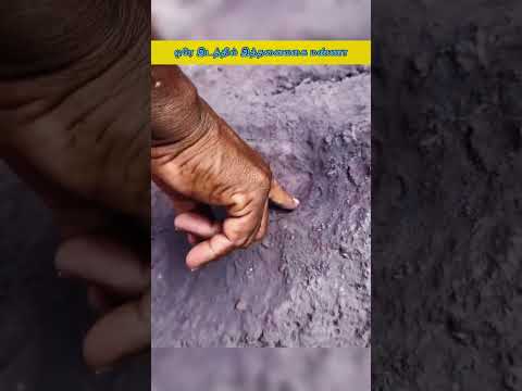 இத்தனை வகை மண்ணா