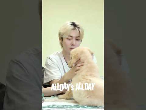 ALLDAY’s ALL DAY '애니와 우찬의 유기견 봉사일지 (ANNIE & WOOCHAN’s Stray Dog Shelter V(olunteer) Log)'