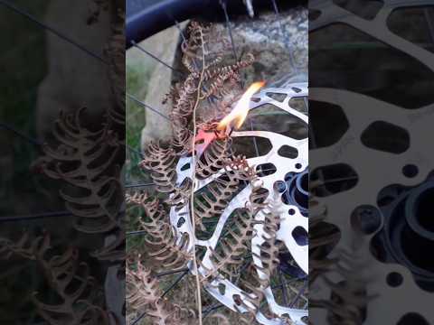 Can a hot brake rotor start a wildfire?? #mtb #bikehacks