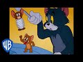 Ajax Mouse Exterminating Company Quiz