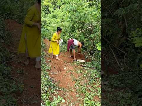 Real end twist❤️Funny videos #shorts #youtubeshorts #klshobasureshani