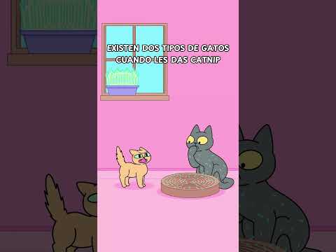 Dos tipos de gatos con catnip: Relajados vs. Destructores 😹🌿 #gatos #gato #gatitos #michi #michis
