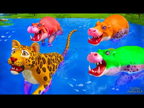 Colorful Hippos Takes on Leopard: Intense Wild Animal Fight | Animal Revolt Battle Simulator!