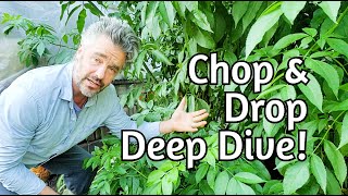 Elder Pruning: Syntropic Ag and Chop and Drop Ideas