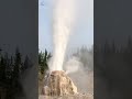 Reaksjoner og Observasjoner i Video