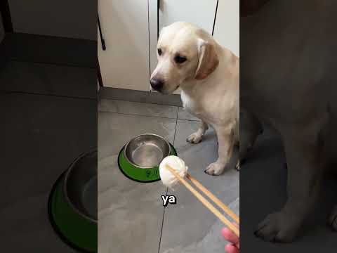 Ver Kurabiyemi ULAN!