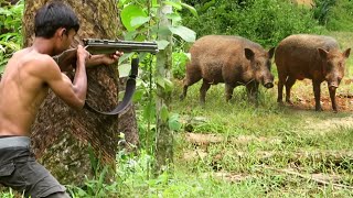 WILD BOAR HUNTING .02 BERBURU ROBOHNYA 2 EKOR BABI HUTAN PEMAKAN BUAH SAWIT DI MALAM HARI