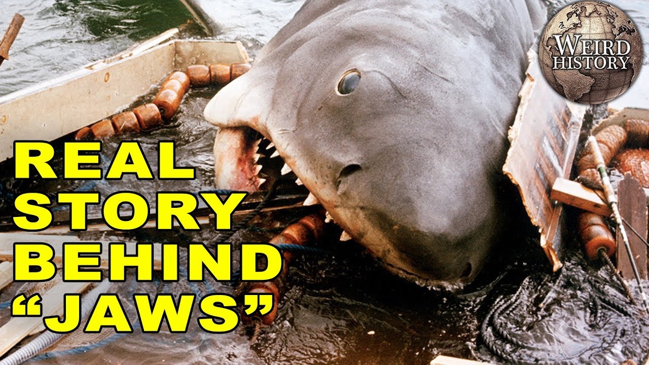 The Matawan Man-Eater The Inspiration for Jaws