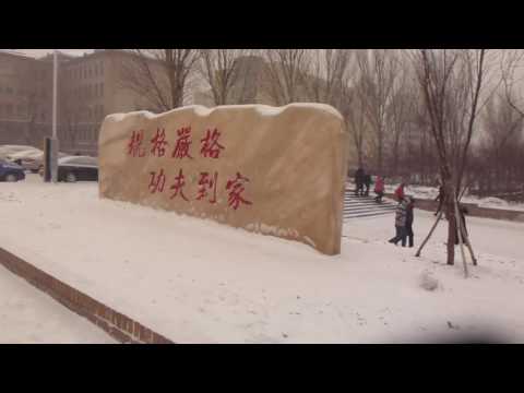 2015年哈爾濱自由行之冰雪中的哈工大3