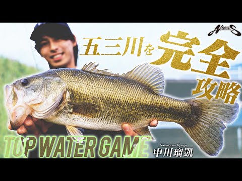 【水面炸裂】攻めのオカッパリ“トップウォーター”ロジック