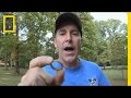 Metal Detecting Discoveries and Artifacts