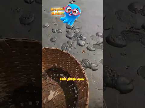 نجات ۱۰۰+ عروس دریایی 🪼🩵 Credit: @PetsSwag