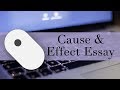 Cause and Effect Essay Concepts