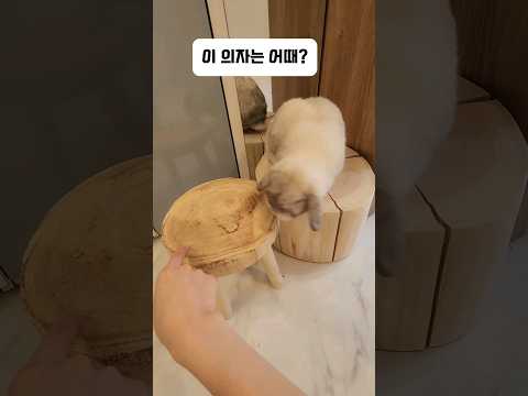 소리를 못내는 토끼가 거대한 사람에게 비키라고 하는 법ㅠ