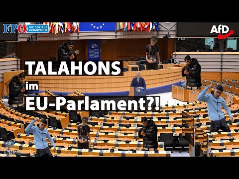 Talahons im EU-Parlament?! - Jung & Patriotisch