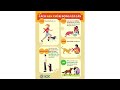 Handling Aggressive Dogs