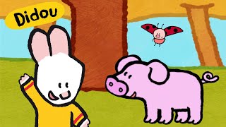 Didou dessine moi : Un Cochon 🐷  | Compilation Enfants
