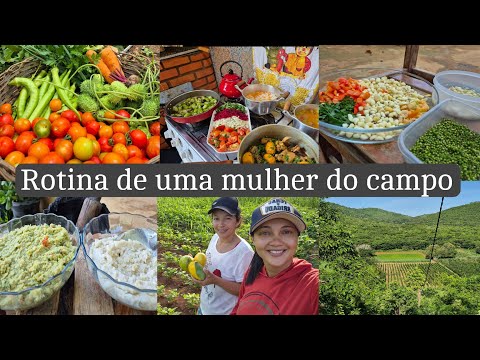 Do nascer ao pôr do sol|tempero a moda antiga |visitando a roça do meu irmão colheita | almoço e ➕️