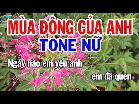 Karaoke Mùa Đông Của Anh Tone Nữ ( D ) Nhạc Sống Tuấn Kiệt