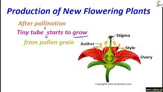 Production of New Flowering Plants