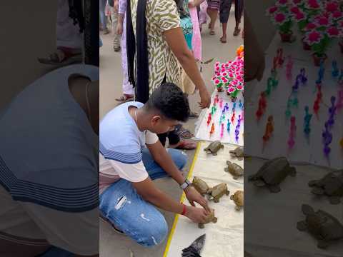 আজকে মেলা থেকে কচ্ছপ কিনলাম 😱😱bengali mini vlog -236 #minivlog