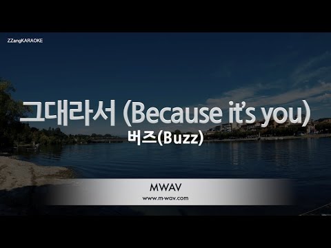 [짱가라오케/노래방] 버즈(Buzz)-그대라서 (Because it’s you) [ZZang KARAOKE]