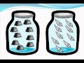 Understanding Gases and Meteorology Concepts