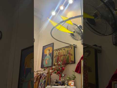 Thả diều trong nhà bay được không? #kite #kiteflying #shorts #dieusao #layangan #patang