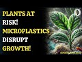 Microplastics and Their Environmental Impact