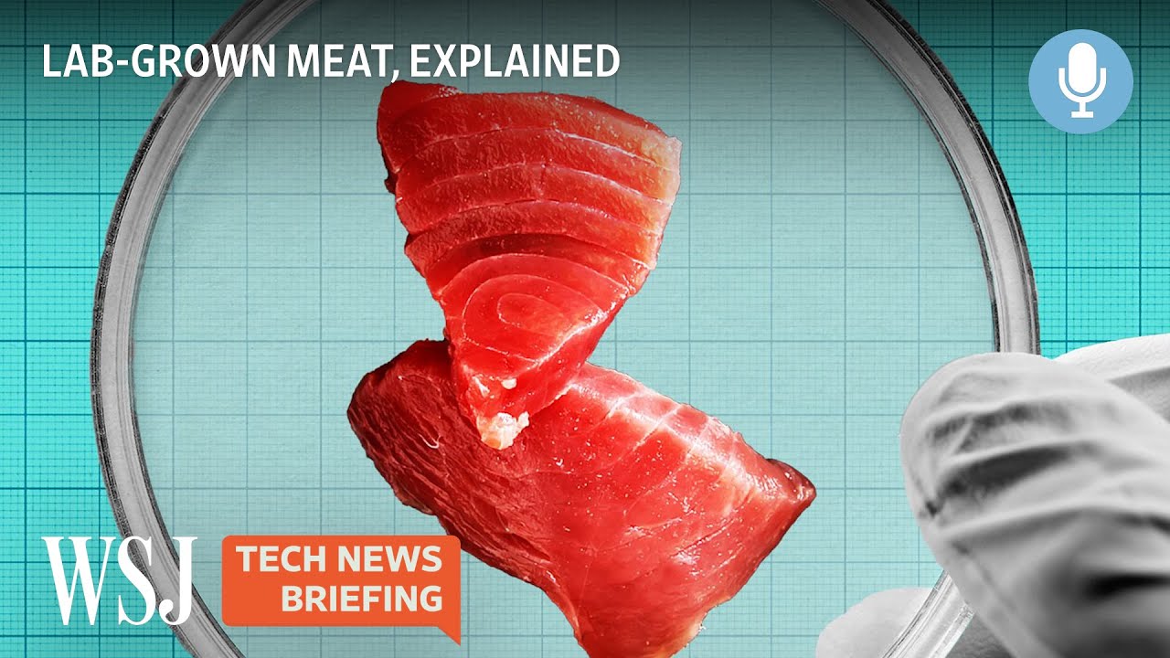 Lab-Grown Meat: How Much Can It Help Save Our Climate? | Tech News Briefing Podcast