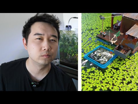 these Fish Tank videos will SURPRISE you | Fish Tank Review 313