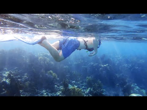 Wanderlust Florida ep 4: Explore the Everglades, an Undersea Wonderland, and Fresh Florida Flavors.