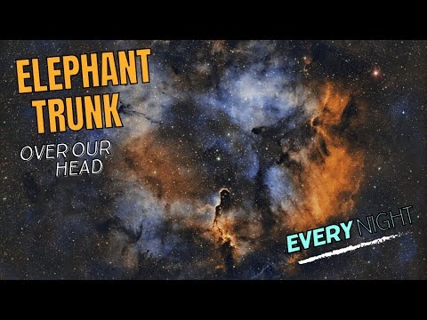 Elephant Trunk Nebula a Stunning Beauty, سديم خرطوم الفيل الرائع