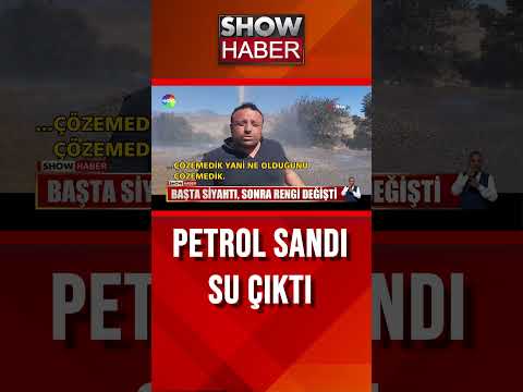 Petrol hayalleri suya düştü... #showanahaber #shorts