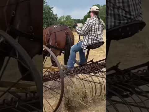 Teamsters in Nebraska Put Up Loose Hay