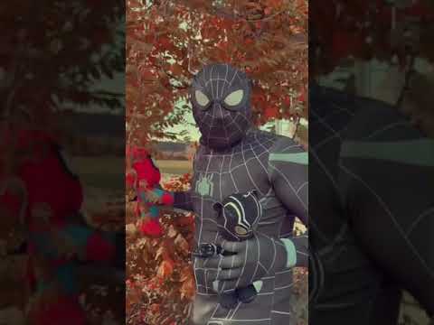 Spider-Man Vs Black Panther & Spidergwen #shorts