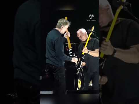 David Gilmour breaks strap before starting the Comfortably Numb solo #shorts