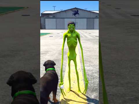 GTA 5 : Dogs teach us love in its purest form Part - 01 ?? || #shorts #shortvideo #shortsviral ||